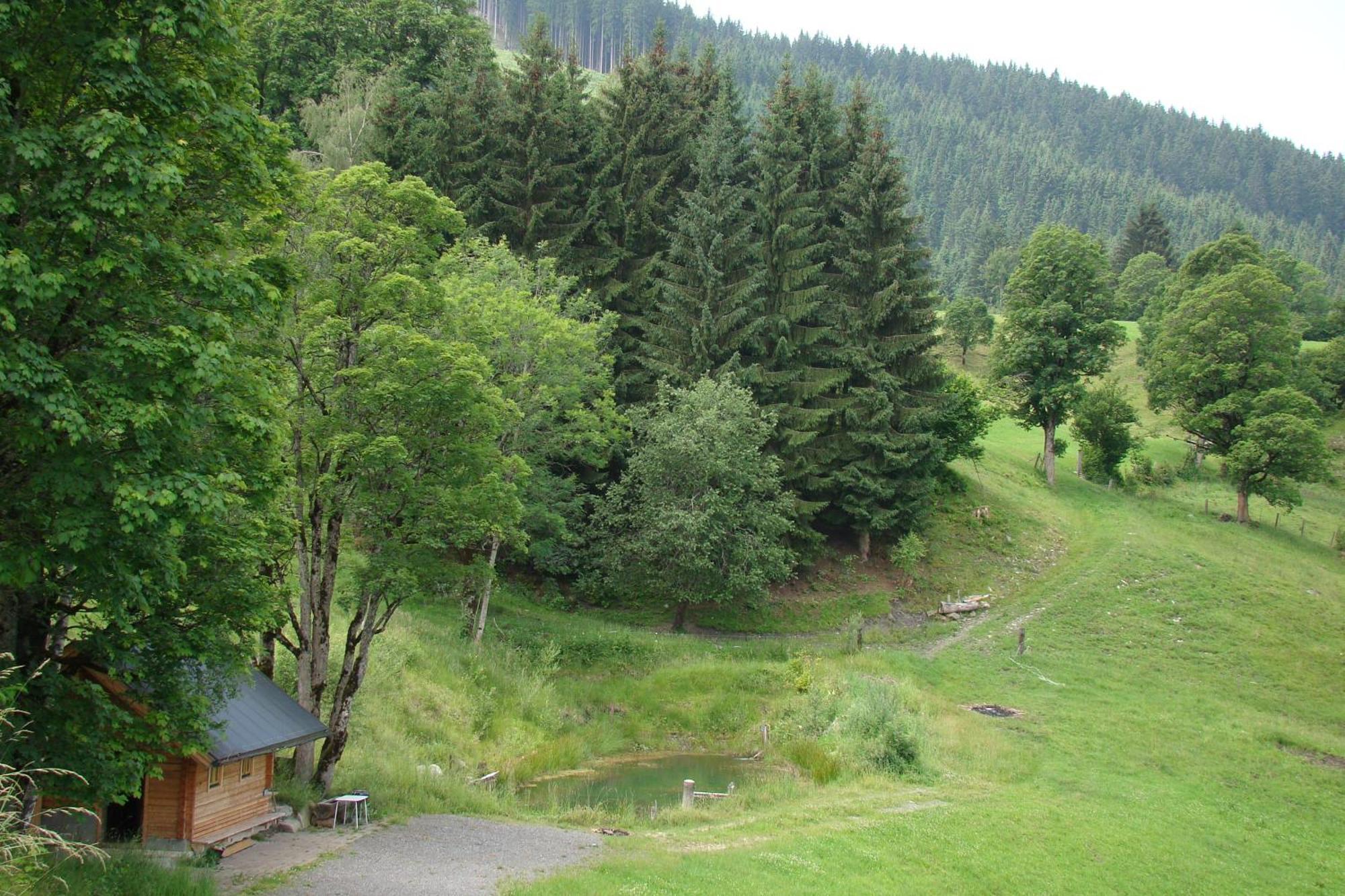 Unterholzhof Villa Piesendorf Eksteriør billede